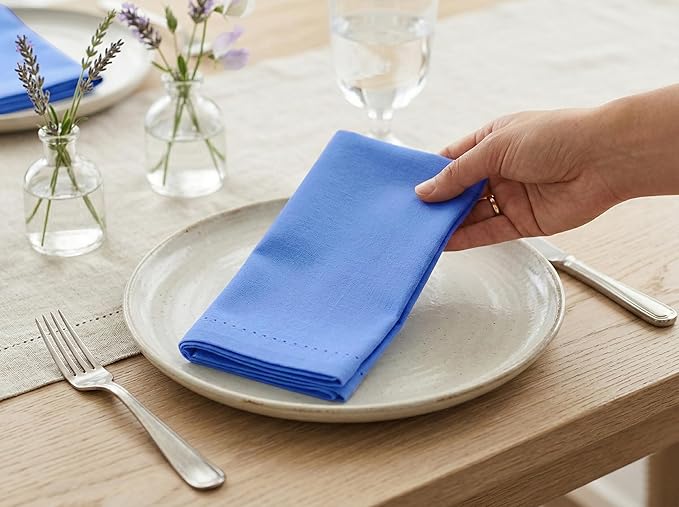 PurpleEssences Set of 12 Hemstitch Cloth Dinner Napkins 100% Cotton - Soft Durable Washable - Ideal for Wedding Spring Easter Summer - Perfect Everyday Use Table Linen 18x18 - Light Blue