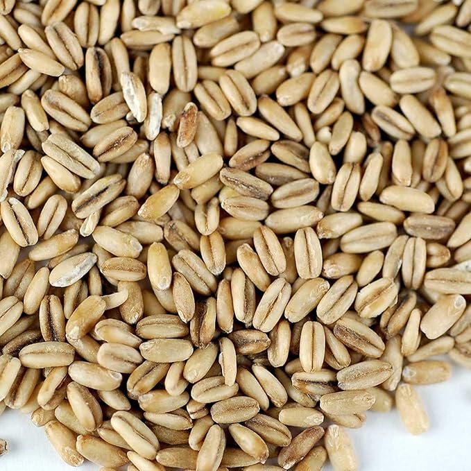 Organic Hulled Oat Groats - 30 Lbs - Oats - Hull Removed - Cereal Grain - Storage, Grains, & More