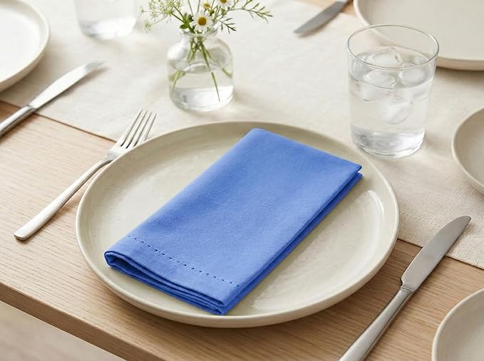 PurpleEssences Set of 12 Hemstitch Cloth Dinner Napkins 100% Cotton - Soft Durable Washable - Ideal for Wedding Spring Easter Summer - Perfect Everyday Use Table Linen 18x18 - Light Blue