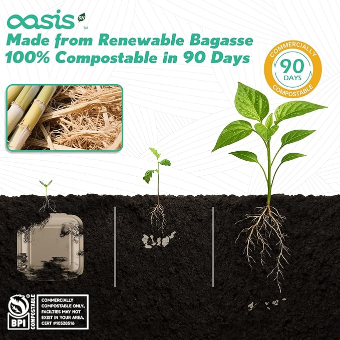 𝟲𝘅𝟲", 𝟭𝟮𝟴-𝗣𝗮𝗰𝗸 Compostable Clamshell Take Out Food Containers, Biodegradable Bagasse Paper To-Go Boxes for Burgers, Sandwiches, Cake, Eco-Friendly, Microwave & Freezer Safe (Natural)