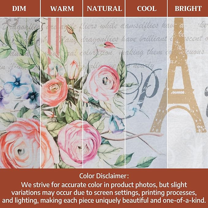 Maison d' Hermine Kitchen Towels Set of 2 100% Cotton 27.50" x 20" Reusable Cloth Tea Dish Towels Absorbent with Hanging Loop for Kitchen, Home, Dining, Cocktail Parties Spring/Summer (Champ De Mars)