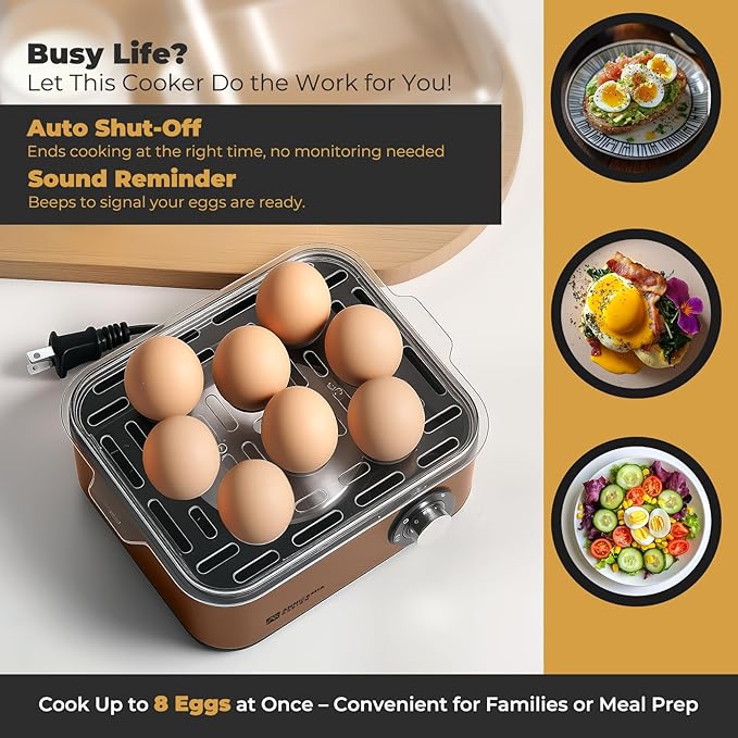 Annie & Mia Design Stainless Steel Electric Rapid Egg Cooker, 8 Egg Capacity 500W, Soft/Medium/Hard Boiled Egg Boiler Poacher Steamer Omelet Maker, Knob Auto Shut-Off, with Recipe Guide Book (Gold)