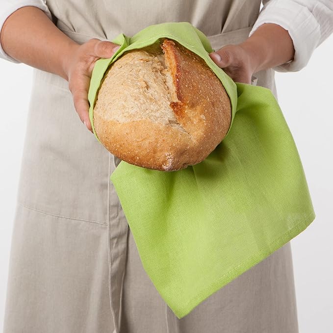 Now Designs Floursack Kitchen Dish Towels,Cotton, Chartreuse/Turquoise/Leaf 20 x 30in, Small, Set of 3