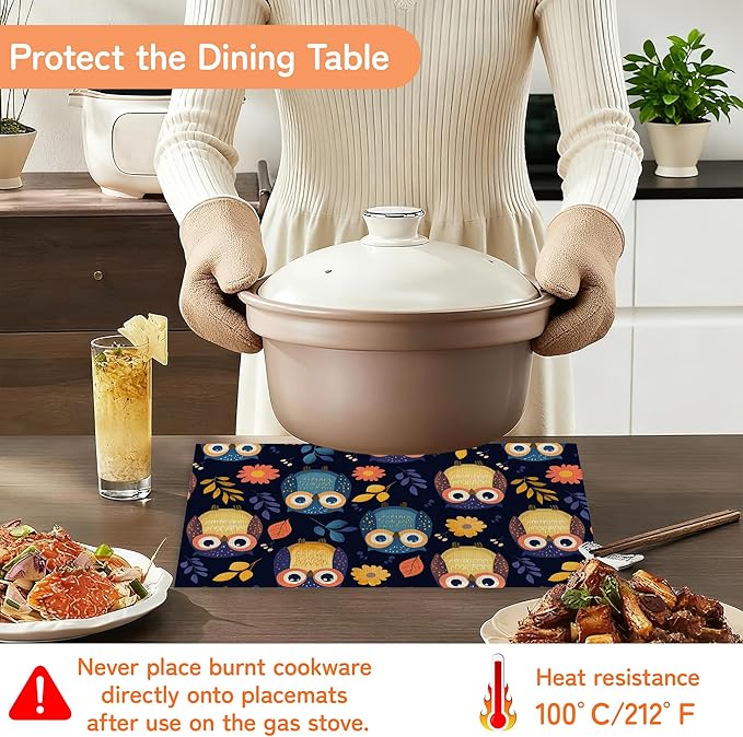 Cute Owl Table Mats Set of 6,Non-Slip Washable Placemats for Restaurant Home Kitchen Dinner Table 12x18Inch