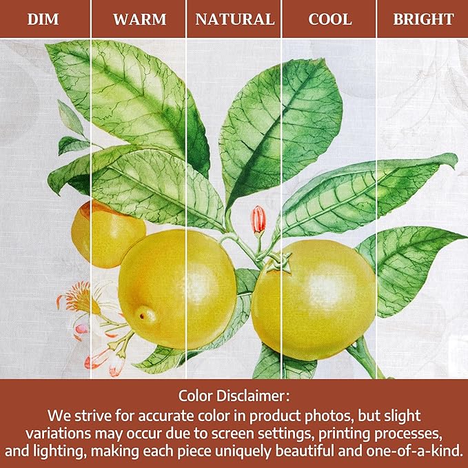 Maison d' Hermine Kitchen Towels Set of 3 100% Cotton 27.50" x 20" Reusable Cloth Tea Dish Towels Absorbent with Hanging Loop for Kitchen Gifts for Mothers Day Spring/Summer (Limoncello)