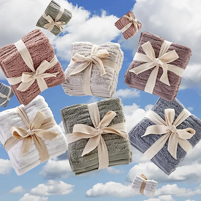 SKL Home CloudSoft Cotton Luxury 4-Piece Washcloth Set, Clay
