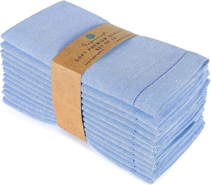 Fingercraft Cloth Napkins, Dual Color Hemstitched Design Dinner Napkins, Everyday Use,Premium Quality Cotton Napkins Perfect for Parties Dinners Weddings Christmas Set of 12, 20 inch Blue White