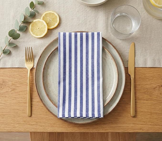 PurpleEssences Plain Striped Cloth Napkins - Set of 12-100% Cotton - 18 x 18 Inch - Spring Easter Summer and Perfect Everyday Use Dinner Napkin - Blue and White