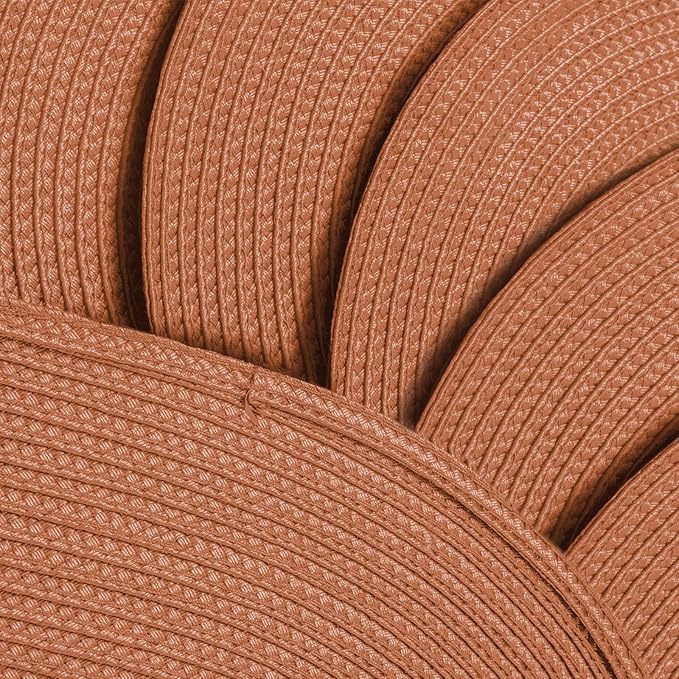 AHHFSMEI Placemats Set of 4 for Dining Table Washable Woven Non-Slip 18x12 inches Placemat Heat-Resistant Durable Table Mats for Dining Table Easy to Clean (Burnt Orange 4)