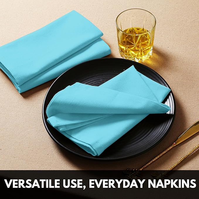 Ocean Blue Cloth Napkin 100% Cotton, 17x 17 Inches, Table Napkin for Dining, Lunch, Cocktail, Decorative Washable Napkins for Spring, Baby Showers, Easter - Aqua Blue (Set of 4)